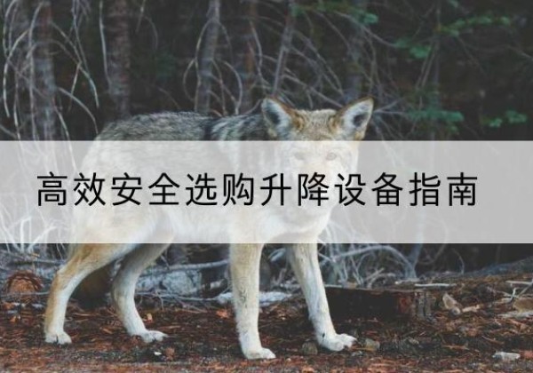 夏县升降货梯厂家推荐-*安全选购升降设备指南