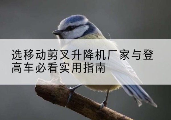 夏县电动升降机厂家-选移动剪叉升降机厂家与登高车必看实用指南