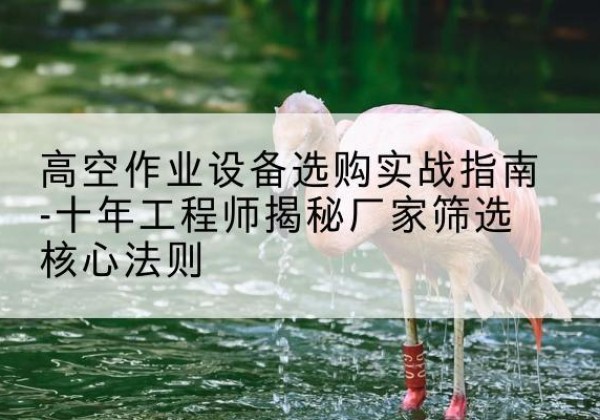夏县剪叉式升降机厂家-高空作业设备选购实战指南-十年工程师揭秘厂家筛选核心法则